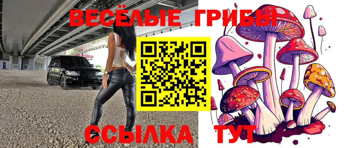 Галлюциногенные грибы мицелий Элиста