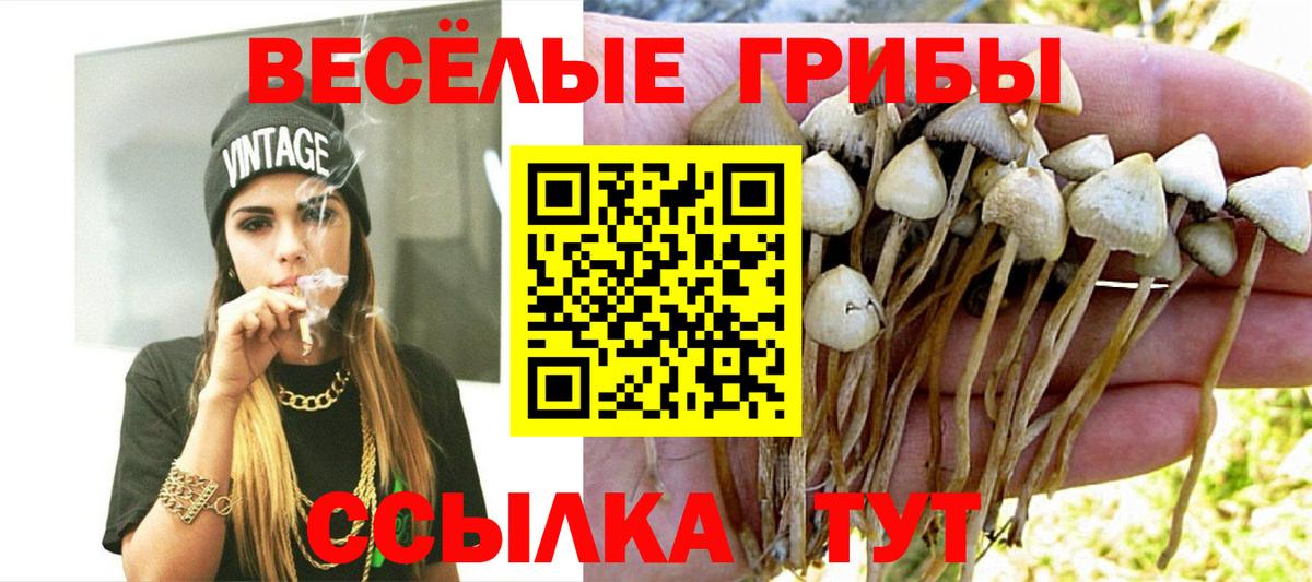 что такое наркотик  Галлюциногенные грибы ЛСД  Вход с VPN  Элиста 